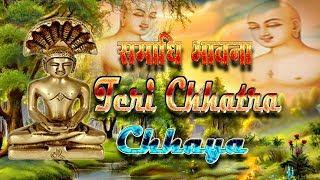 Samadhi Paath (Teri Chhatra Chhaya)